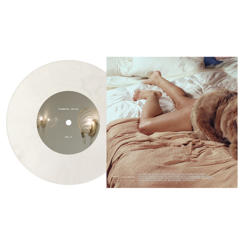 032026_HD_Roommates_7InchVinyl_Back_2.png