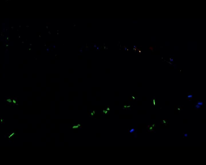 DailyDuff-dot-nl_GirlCanRockDVD-LiveInConcert0851.jpg DailyDuff-dot-nl_GirlCanRockDVD-LiveInConcert0851.jpg