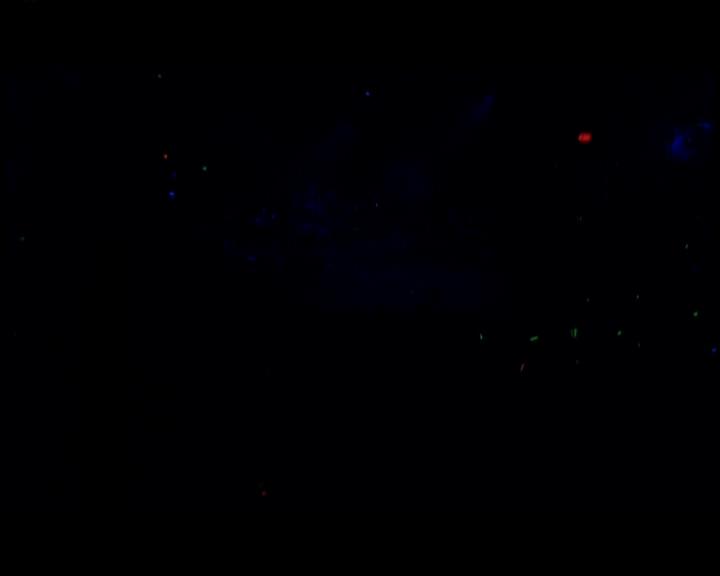 DailyDuff-dot-nl_GirlCanRockDVD-LiveInConcert1065.jpg DailyDuff-dot-nl_GirlCanRockDVD-LiveInConcert1065.jpg