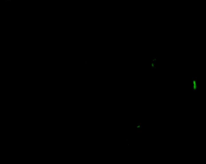 DailyDuff-dot-nl_GirlCanRockDVD-LiveInConcert1278.jpg DailyDuff-dot-nl_GirlCanRockDVD-LiveInConcert1278.jpg