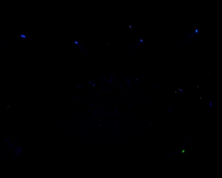 DailyDuff-dot-nl_GirlCanRockDVD-LiveInConcert2596.jpg DailyDuff-dot-nl_GirlCanRockDVD-LiveInConcert2596.jpg