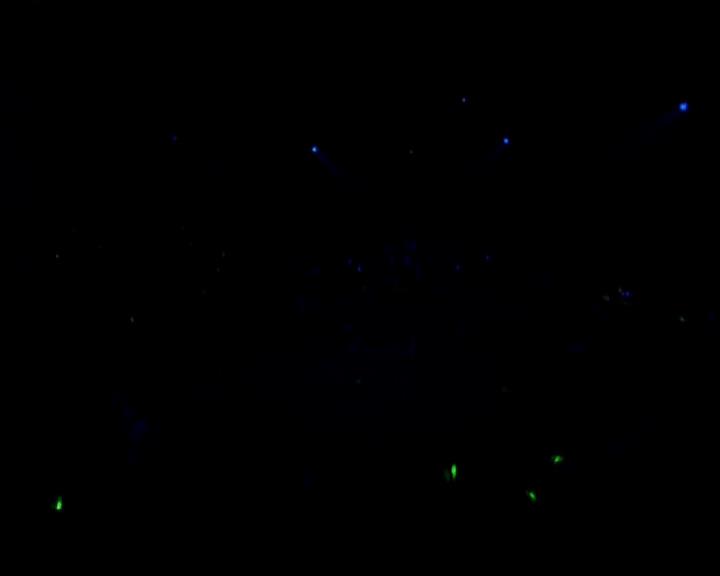 DailyDuff-dot-nl_GirlCanRockDVD-LiveInConcert2597.jpg DailyDuff-dot-nl_GirlCanRockDVD-LiveInConcert2597.jpg