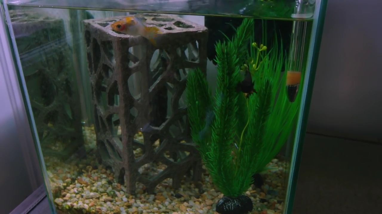 DailyDuff-dot-nl_2020ArchitecturalDigest0814.jpg DailyDuff-dot-nl_2020ArchitecturalDigest0814.jpg