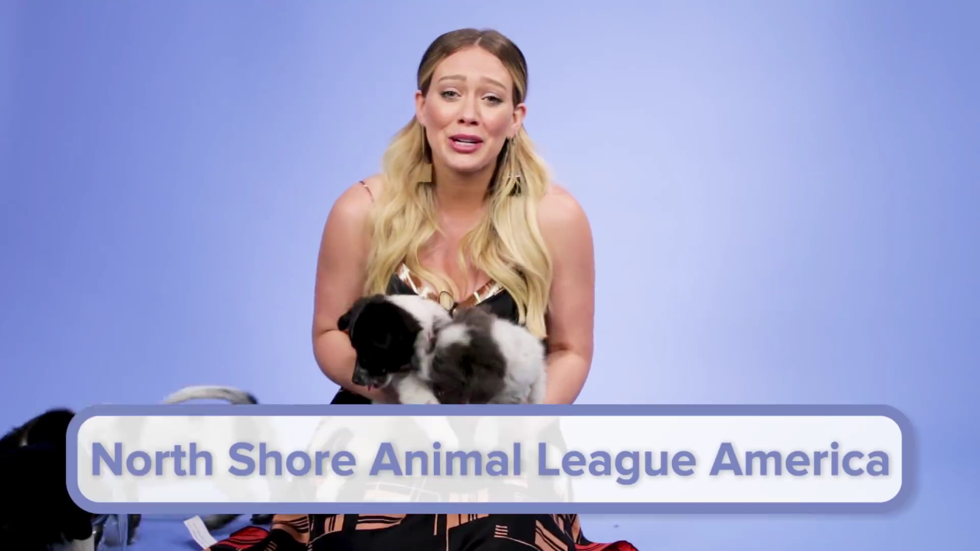 DailyDuff-dot-nl_2018Buzzfeed0264.jpg