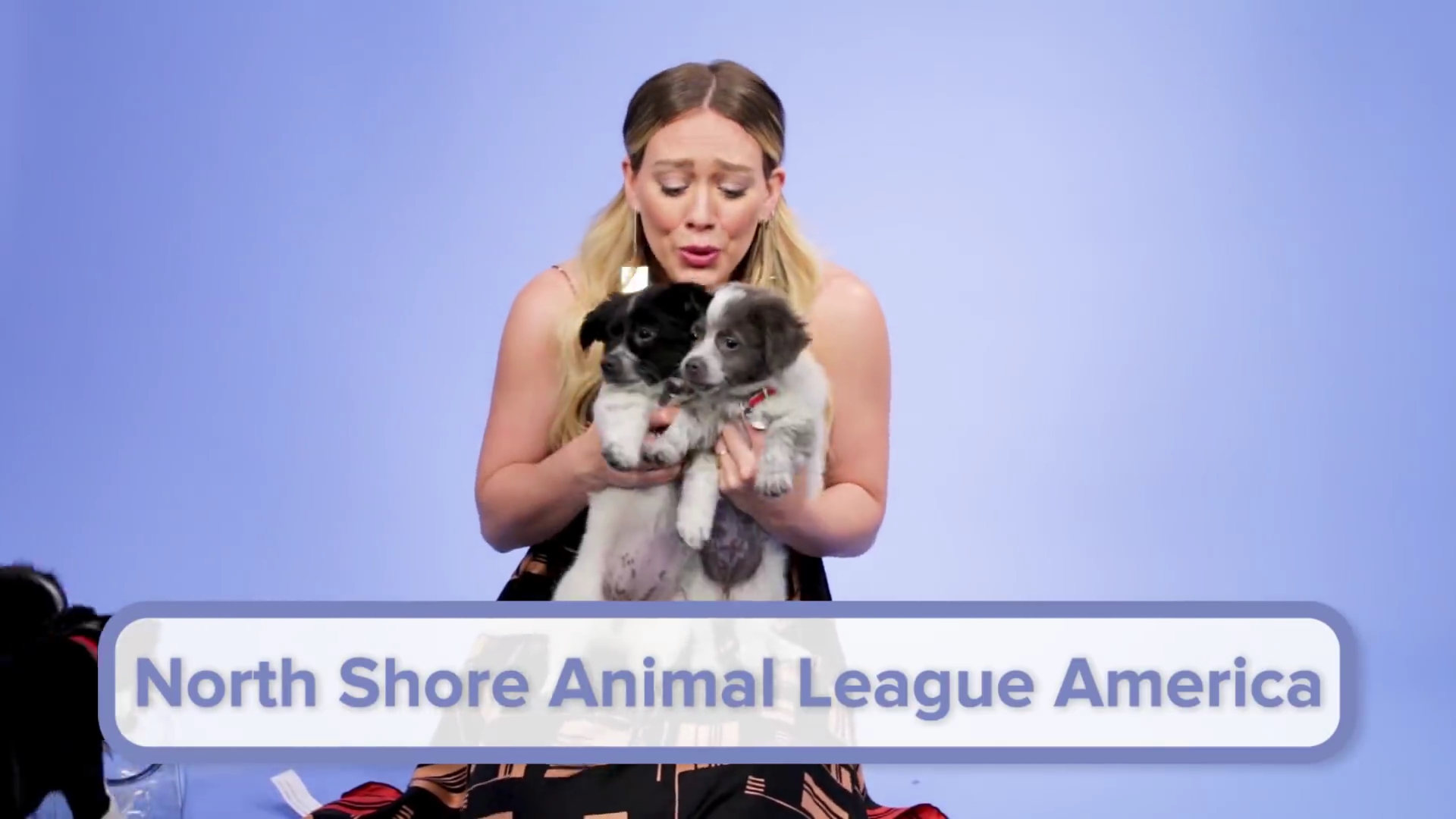 DailyDuff-dot-nl_2018Buzzfeed0266.jpg