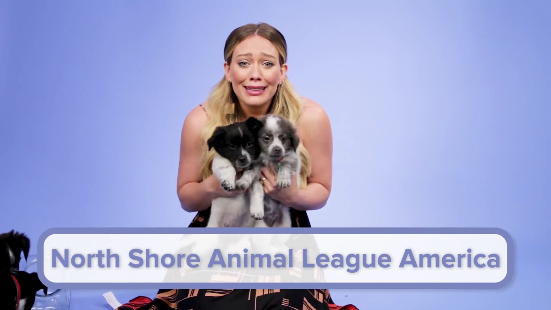 DailyDuff-dot-nl_2018Buzzfeed0267.jpg