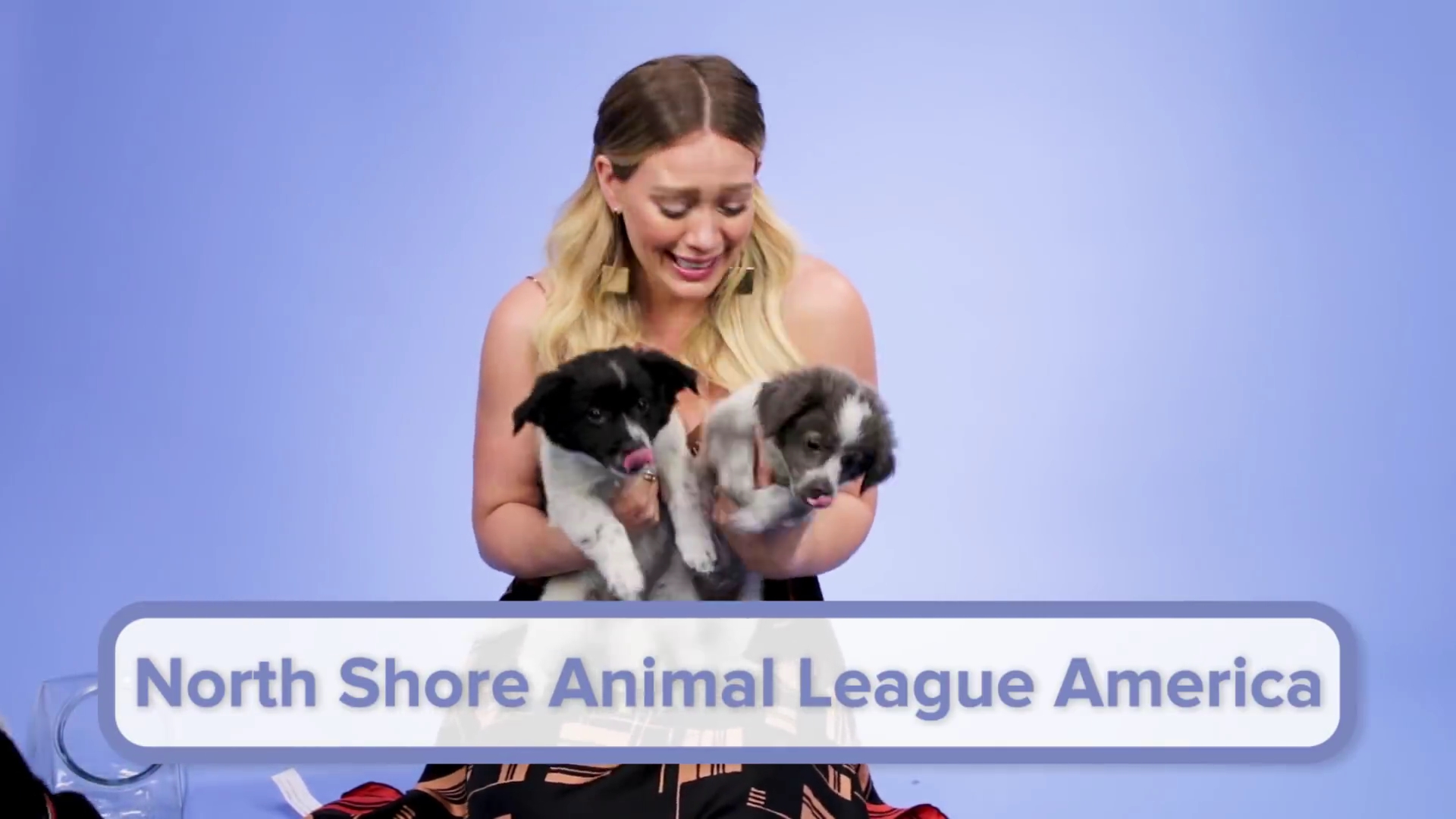 DailyDuff-dot-nl_2018Buzzfeed0268.jpg DailyDuff-dot-nl_2018Buzzfeed0268.jpg