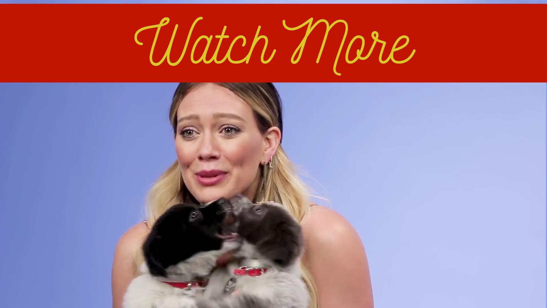 DailyDuff-dot-nl_2018Buzzfeed0270.jpg