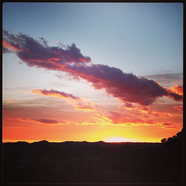 29 januari: 5:30 sky
