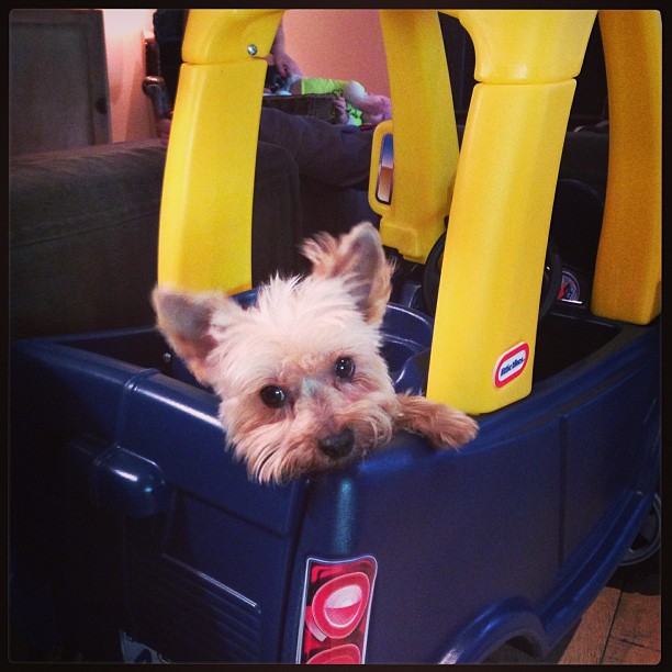 04 februari: Tailgating....
 04 februari: Tailgating....