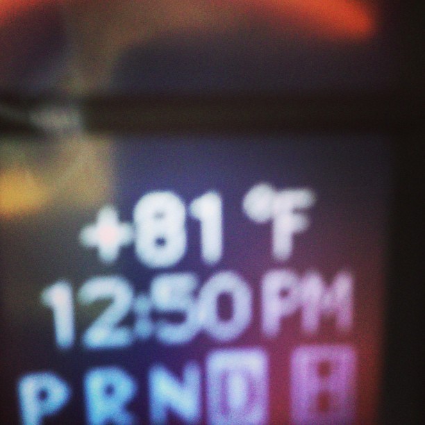 16 februari: Oh ya! This is why we live in Cali people! 81degrees
 16 februari: Oh ya! This is why we live in Cali people! 81degrees