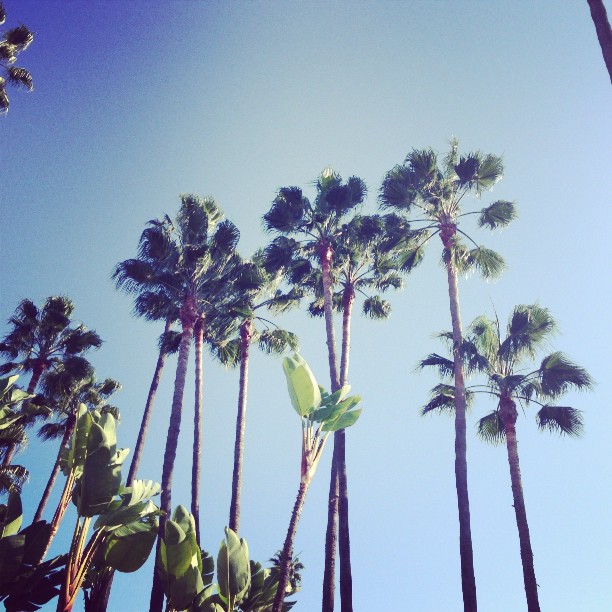 18 februari:
 18 februari: