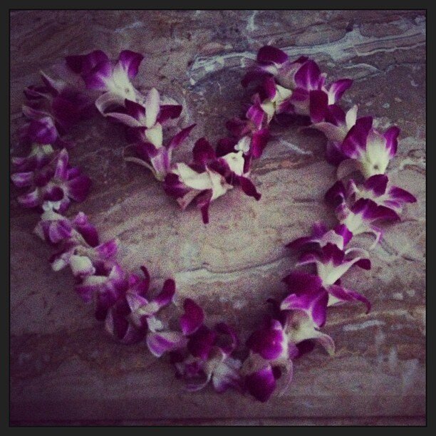 25 februari: Get lei-ed everybody..
