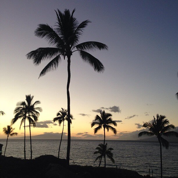 27 februari: #nofilter
 27 februari: #nofilter