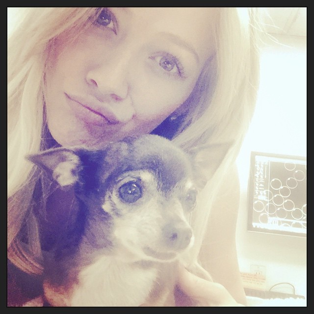 16 Januari: Coco is shakin like bacon at the vet  my lil Ol guy

