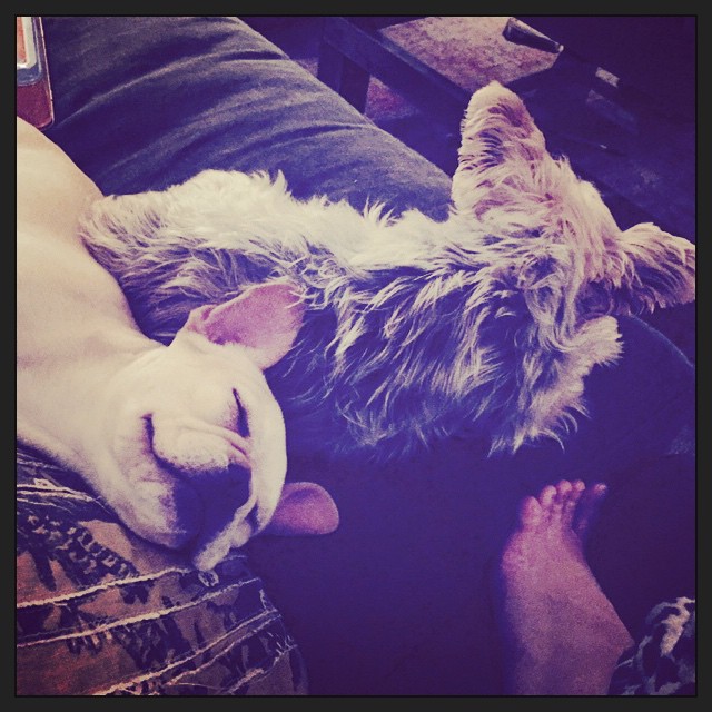 23 Januari: Brothers #beau & #jak
