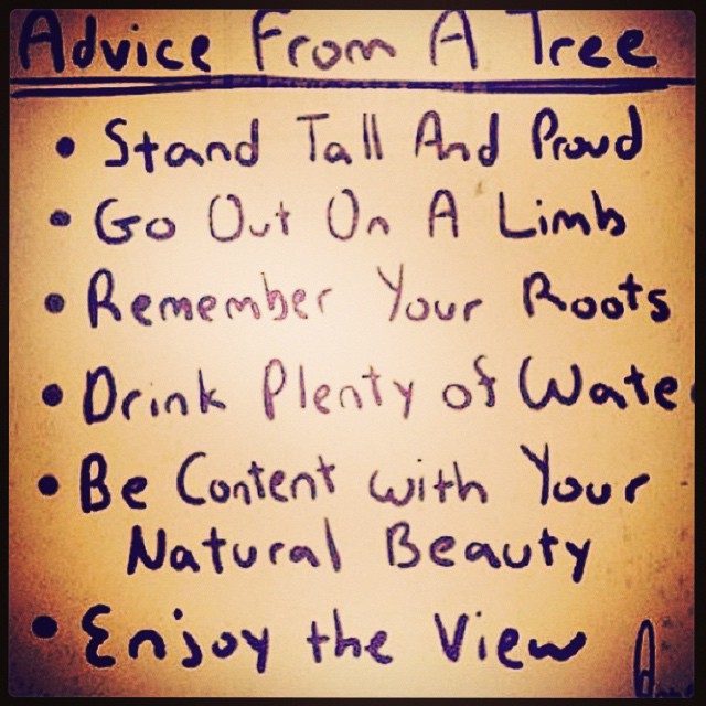 03 Februari:  Stolen from @thehitlife
