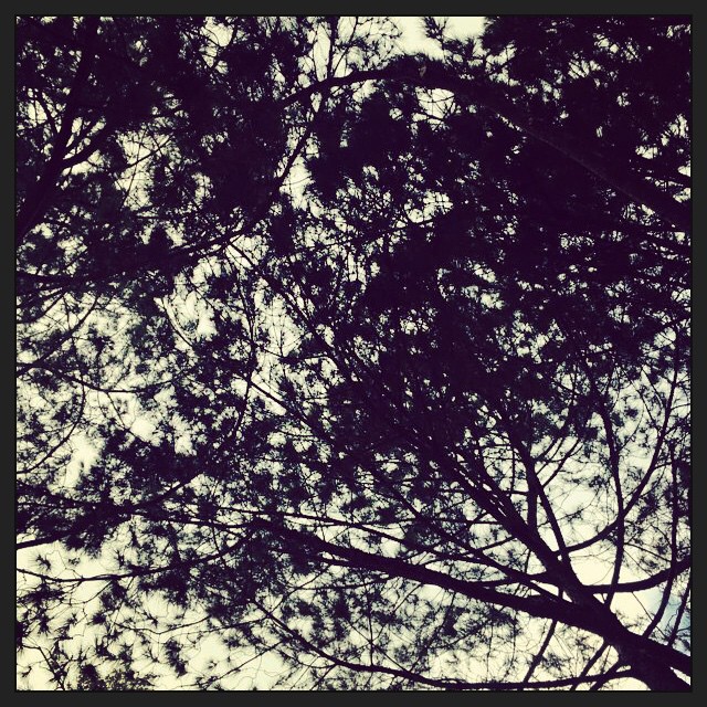 22 Februari: LOOK UP!
