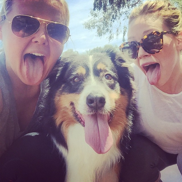 31 mei: It was a hot one folks @lowenban dubie and I panting up a storm 👯🐶
