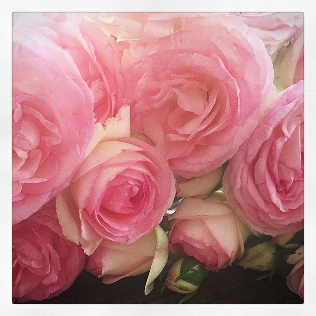 17 juli: Home grown pretties
