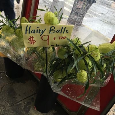 02 oktober: Hairy balls? 9 dollars? +tax?!!
