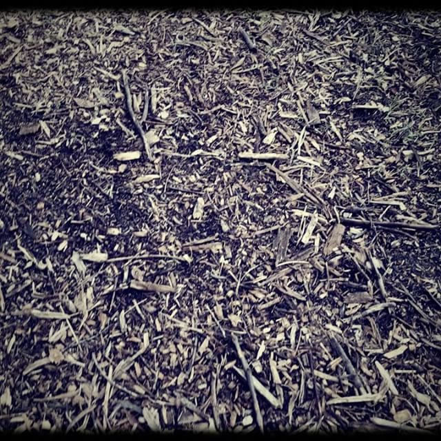 10 januari: That good gloom. Magic
