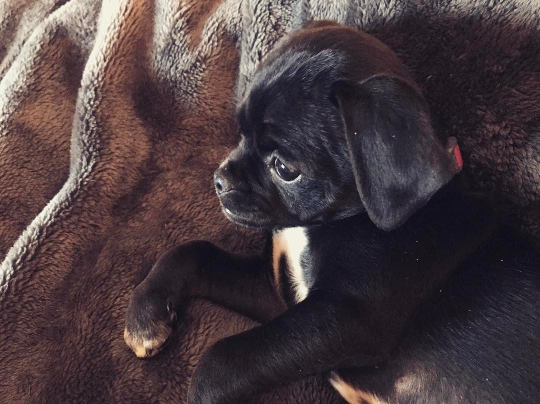05 mei: No words. #momo ❤️💔❤️💔
