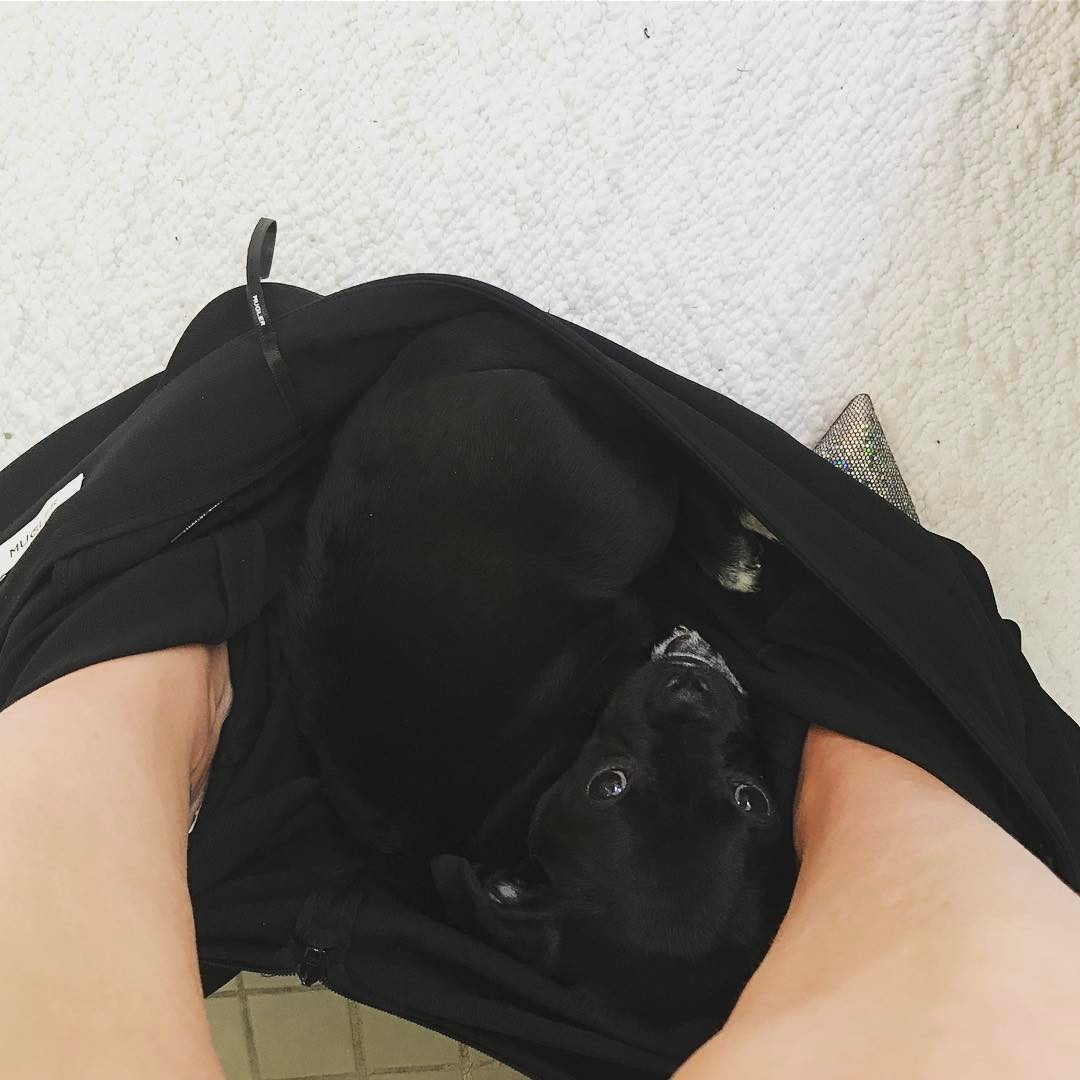 16 mei: Can't even pee without this stalker finding me
