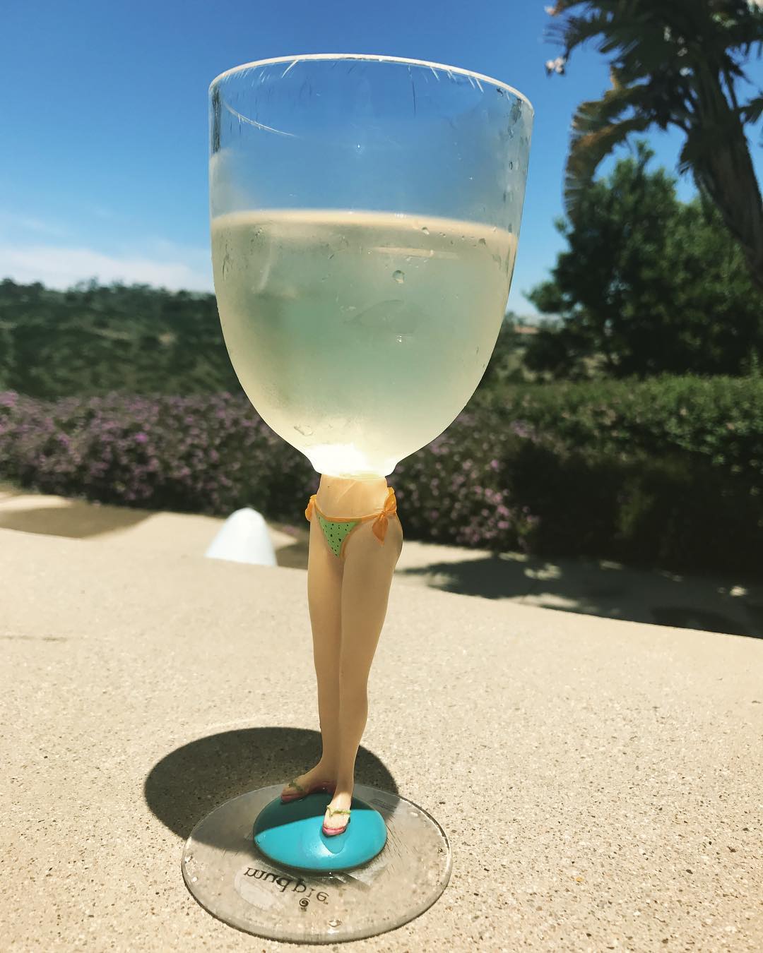 22 mei: Could this seriously be my Monday? #bottomsup @lydiaroxcom 
