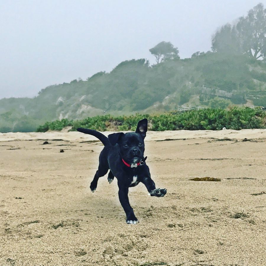 21 juni: Running towards Friday like.....
