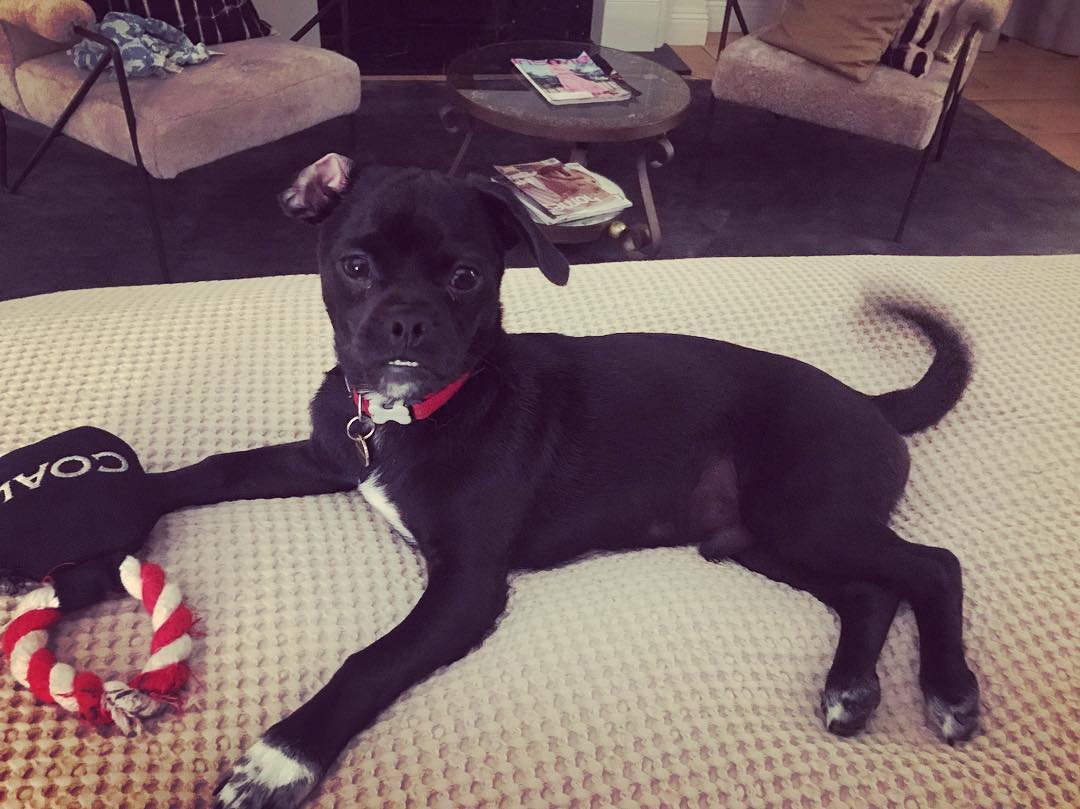 27 juli: #underbitesunite #momothechug
