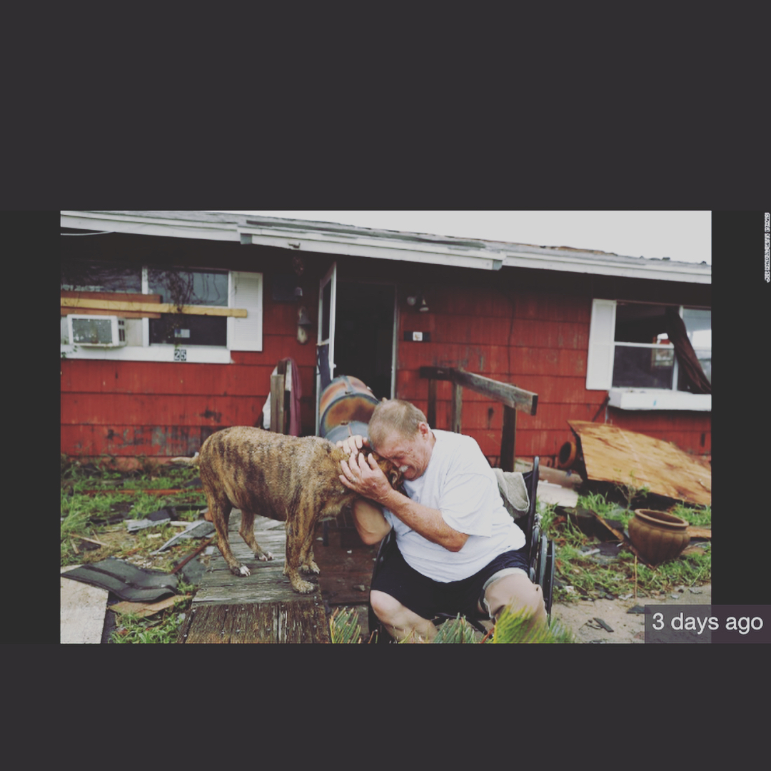 01 september: This is true tragedy. I'm in shock and heartbroken watching the news and seeing the place I was raised underwater. I can't imagine living in these conditions...losing the comforts of home, your belongings, or worst, family, in the blink of an eye. This could be you 💔 #Texas needs our help after Hurricane #Harvey. I donated today, please join me in donating as well @americanredcross @HoustonFoodBank. Every bit helps #HoustonStrong

