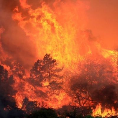 06 december: Please keep California in your thoughts and prayers.
