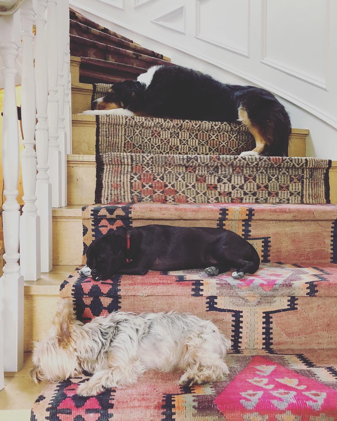 31 januari: Snoozers ...but not losers
