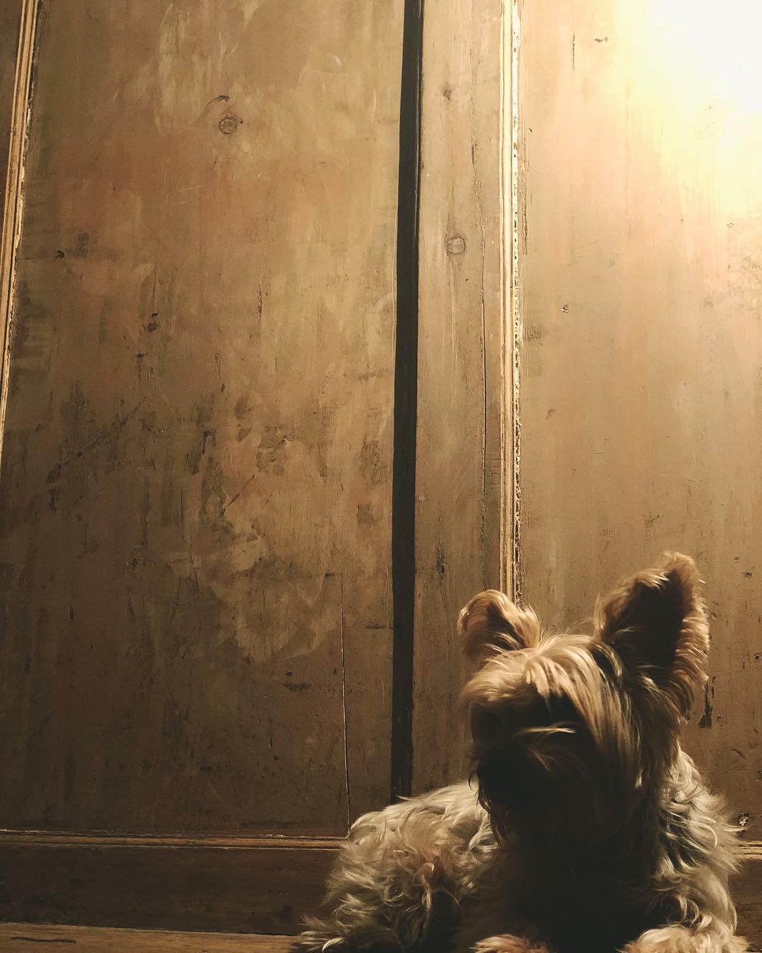 2 februari: Don’t know why I been workin all these years. My dogs a damn model
