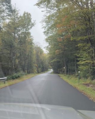040-1.jpg