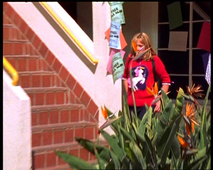 DailyDuff-dot-nl_PictureDay00272.jpg DailyDuff-dot-nl_PictureDay00272.jpg