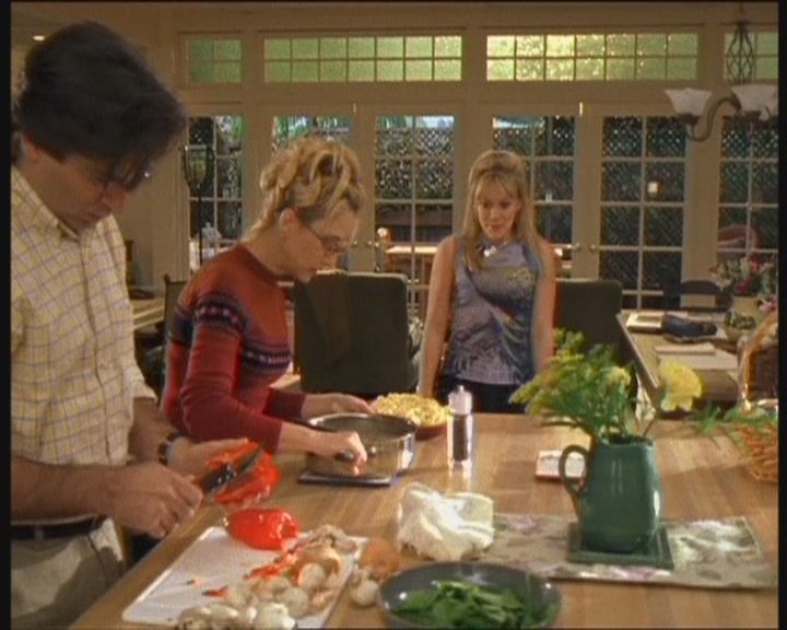 DailyDuff-dot-org_LizzieMcGuire-WorkingGirl0003.jpg
