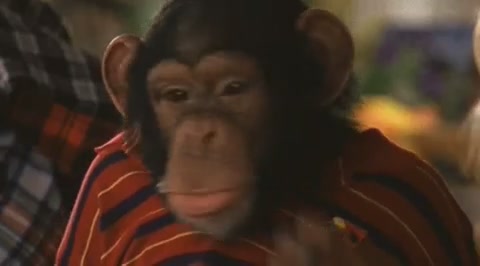 DailyDuff-dot-org_LizzieMcGuire-2x28TheGreatestCrushofAll0830.jpg DailyDuff-dot-org_LizzieMcGuire-2x28TheGreatestCrushofAll0830.jpg