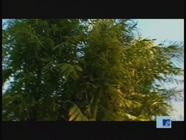 DailyDuff-dot-nl_MTVsThisIsNow0056.jpg DailyDuff-dot-nl_MTVsThisIsNow0056.jpg