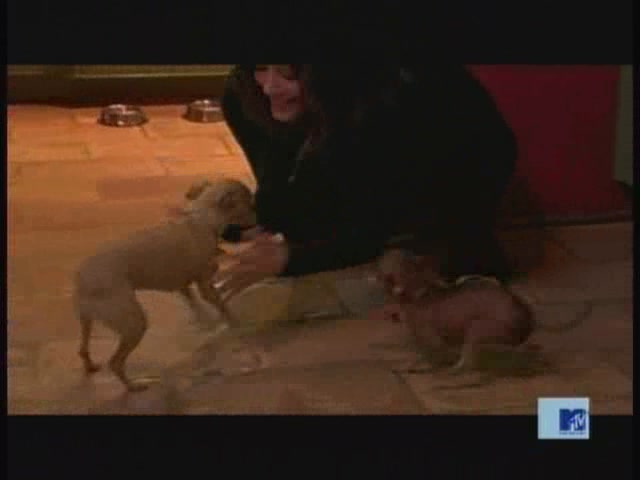 DailyDuff-dot-nl_MTVsThisIsNow0070.jpg DailyDuff-dot-nl_MTVsThisIsNow0070.jpg