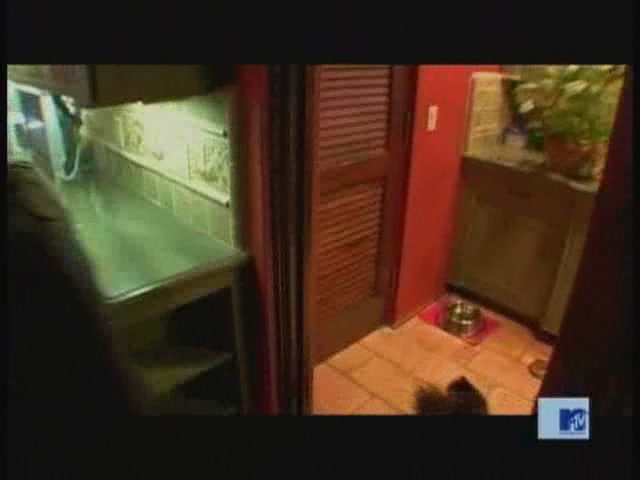 DailyDuff-dot-nl_MTVsThisIsNow0084.jpg DailyDuff-dot-nl_MTVsThisIsNow0084.jpg