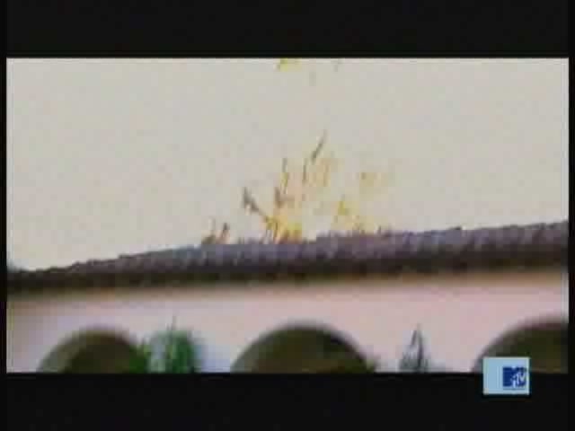 DailyDuff-dot-nl_MTVsThisIsNow0799.jpg DailyDuff-dot-nl_MTVsThisIsNow0799.jpg