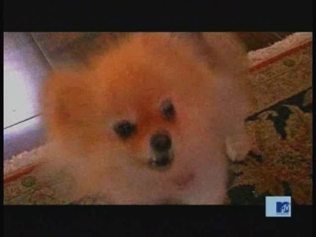 DailyDuff-dot-nl_MTVsThisIsNow0843.jpg DailyDuff-dot-nl_MTVsThisIsNow0843.jpg