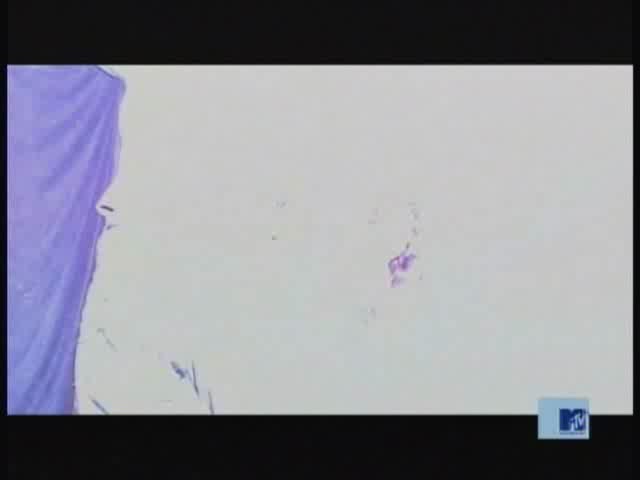 DailyDuff-dot-nl_MTVsThisIsNow1115.jpg DailyDuff-dot-nl_MTVsThisIsNow1115.jpg