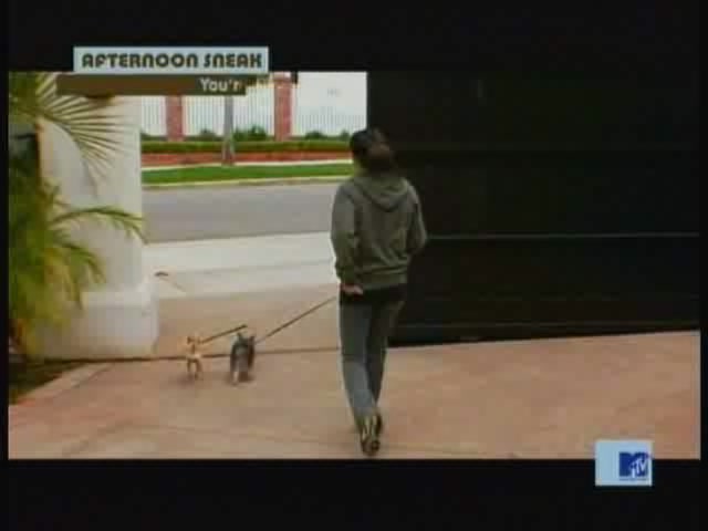 DailyDuff-dot-nl_MTVsThisIsNow1976.jpg
