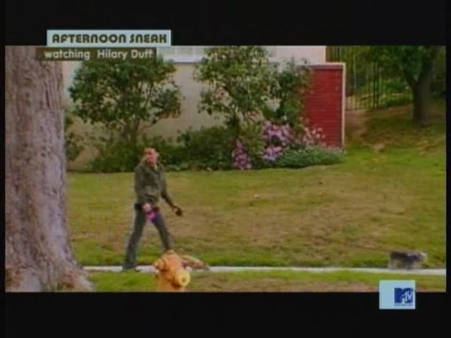 DailyDuff-dot-nl_MTVsThisIsNow1982.jpg DailyDuff-dot-nl_MTVsThisIsNow1982.jpg