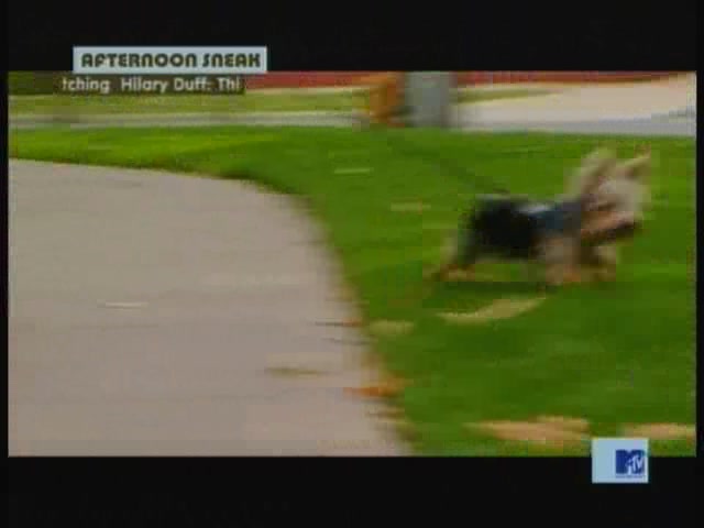 DailyDuff-dot-nl_MTVsThisIsNow1983.jpg DailyDuff-dot-nl_MTVsThisIsNow1983.jpg