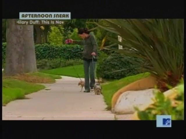 DailyDuff-dot-nl_MTVsThisIsNow1985.jpg DailyDuff-dot-nl_MTVsThisIsNow1985.jpg