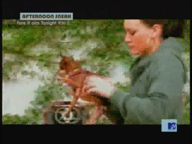 DailyDuff-dot-nl_MTVsThisIsNow1992.jpg